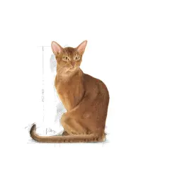 Royal Canin Exigent 2 Kg