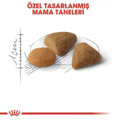 Royal Canin Exigent 2 Kg