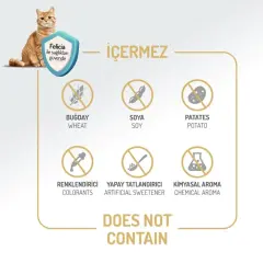 Felicia Az Tahıllı Sterilised Somonlu HypoAllergenic Kedi Maması 2 Kg