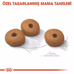 Royal Canin Ccn Mini Light Weightcare Yetişkin Köpek Maması 3 Kg