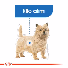 Royal Canin Ccn Mini Light Weightcare Yetişkin Köpek Maması 3 Kg