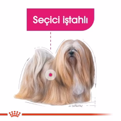 Royal Canin Ccn Mini Exigent Yetişkin Köpek Maması 3 Kg