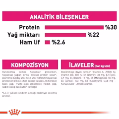 Royal Canin Ccn Mini Exigent Yetişkin Köpek Maması 3 Kg