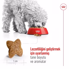 Royal Canin Mini Adult 4 Kg