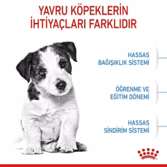 Royal Canin Puppy Mini Küçük Irk Yavru Köpek Maması 4 Kg