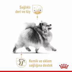 Royal Canin Pomeranian Yetişkin Köpek Maması 3 Kg