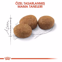 Royal Canin Sterilised 37 Kısırlaştırılmış Açık Kedi Maması 1 Kg