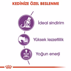 Royal Canin Sensible 33 Hassas Açık Kedi Maması 1 Kg