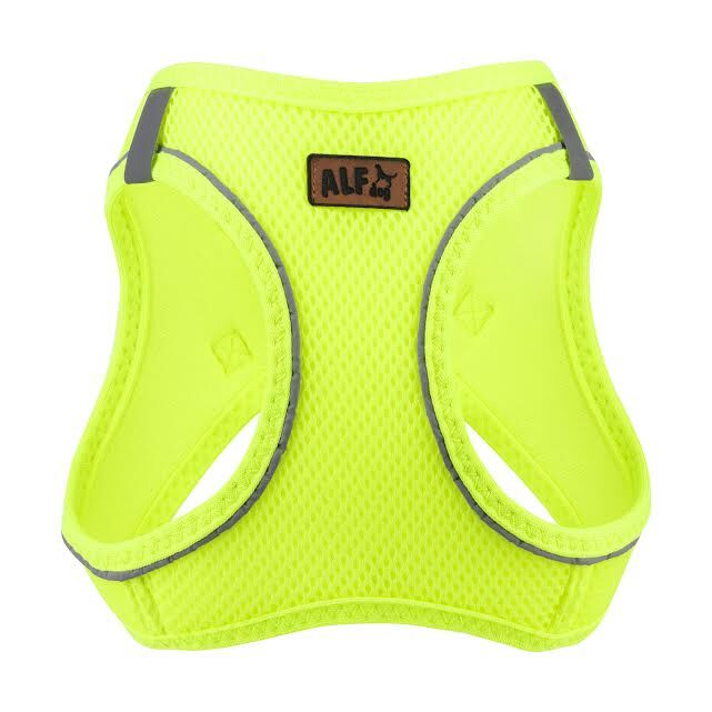 AlfDog Airmesh Göğüs Tasması L (NEON SARI)