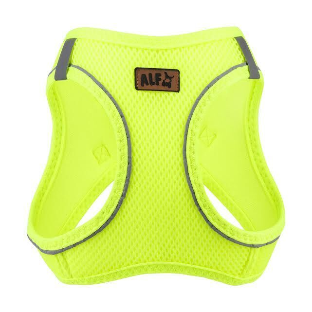 AlfDog Airmesh Göğüs Tasması 2XS (NEON SARI)
