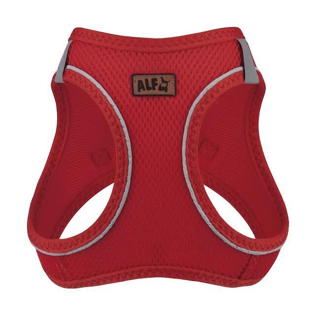 AlfDog Airmesh Göğüs Tasması 3XS (KIRMIZI)