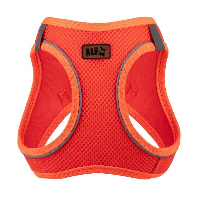 AlfDog Airmesh Göğüs Tasması L (TURUNCU)