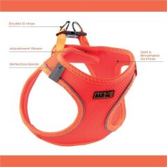 AlfDog Airmesh Göğüs Tasması S (TURUNCU)