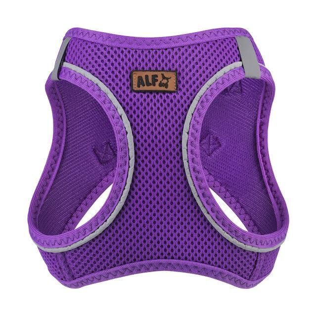 AlfDog Airmesh Göğüs Tasması S (MOR)