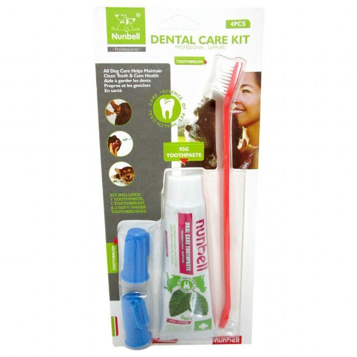 Nunbell Dental Kıt Naneli